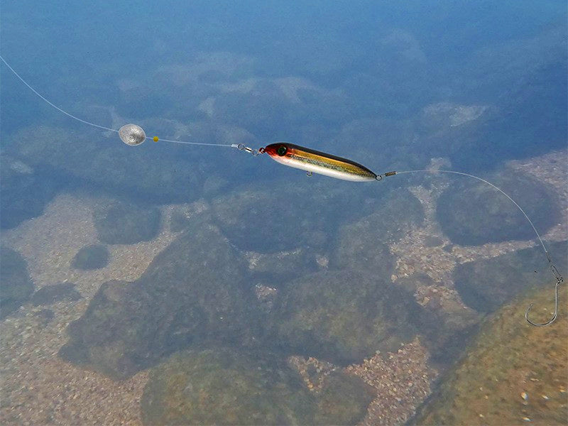 Floating Pencil Lure with Rattle, Saltwater Hard Bait – product photo