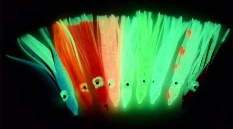 Glow Squid Skirt Trolling Lures, 10-Pack, Multiple Colors – product photo