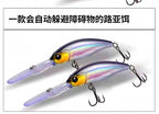 Floating Minnow Lure, Long Lip, 9 g (0.32 oz) & 17 g (0.60 oz) – product photo