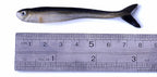 Two-Tone Minnow Soft Baits, 8 cm (3.1 in), 2 g, Pack of 10 – product photo