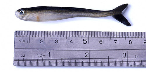 Two-Tone Minnow Soft Baits, 8 cm (3.1 in), 2 g, Pack of 10 – product photo