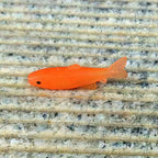Soft Plastic Lures, 4.5 cm (1.8 in) 1.2 g, 50-Pack – product photo