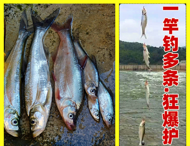 Red Fish Skin Sabiki Rig, Hook Sizes 6–16 – product photo