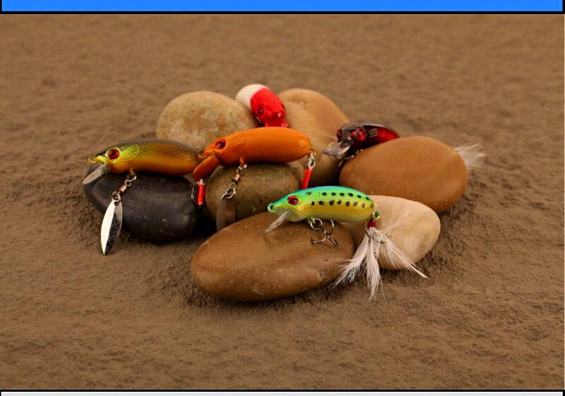 Slow-Sinking Minnow Hard Bait, 7 g (0.25 oz), 5 cm (2 in) – product photo
