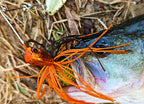 Spinnerbait Lure with Blades, 3/8 oz & 1/2 oz (10.6 g / 14.2 g) – product photo