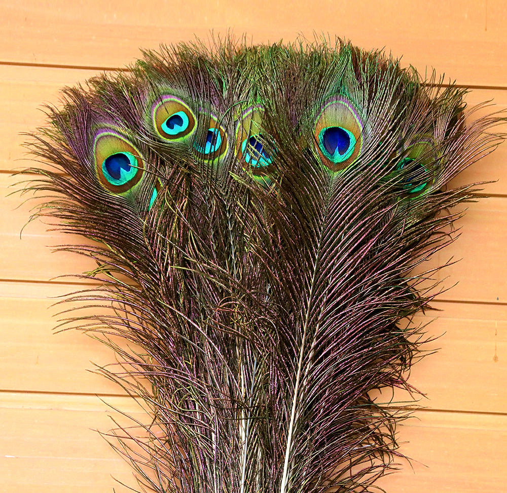 Fly Tying Feathers: Grizzly Saddle Hackle, Peacock, Ostrich – product photo