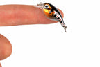 Micro Floating Fat Crankbait, 2.1 g (0.07 oz) – product photo