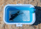 Collapsible Fish Bucket with Lid, 10–20 L (2.6–5.3 gal) – product photo