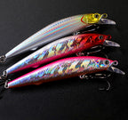 Minnow Hard Bait, 8–11.5 cm (3.1–4.5 in), Floating/Slow Sink – product photo