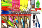 Assorted Fishing Lure Kit: Minnows, Frogs, Spoons, Soft Baits – product photo