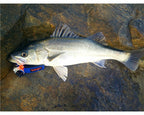 Curly Tail Soft Bait with Lead Jig Head, 18–50 g (0.6–1.8 oz) – product photo