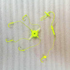 Glow Explosion Hooks, 5-Prong & 7-Prong, Sizes 8-14 – product photo