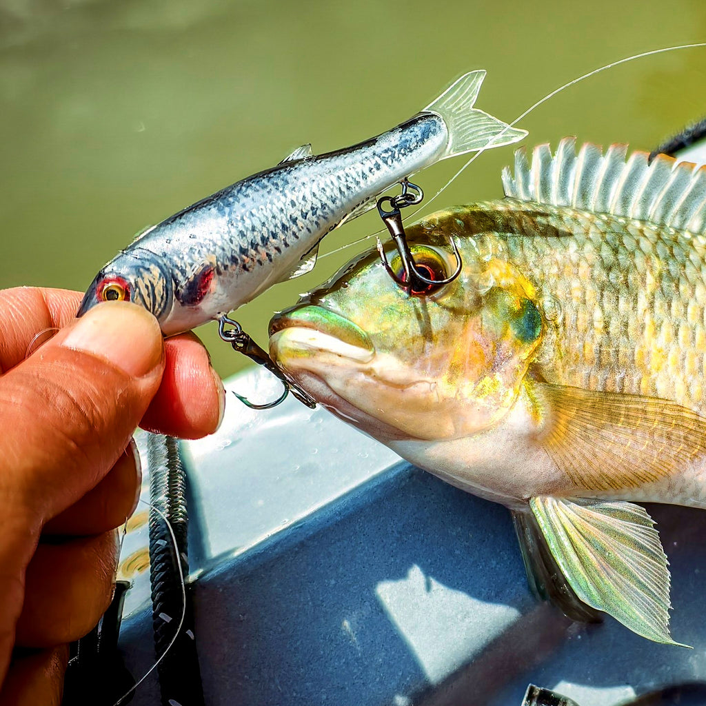 8 cm Soft-Body Minnow Lure, 8.8 g (0.31 oz) – product photo