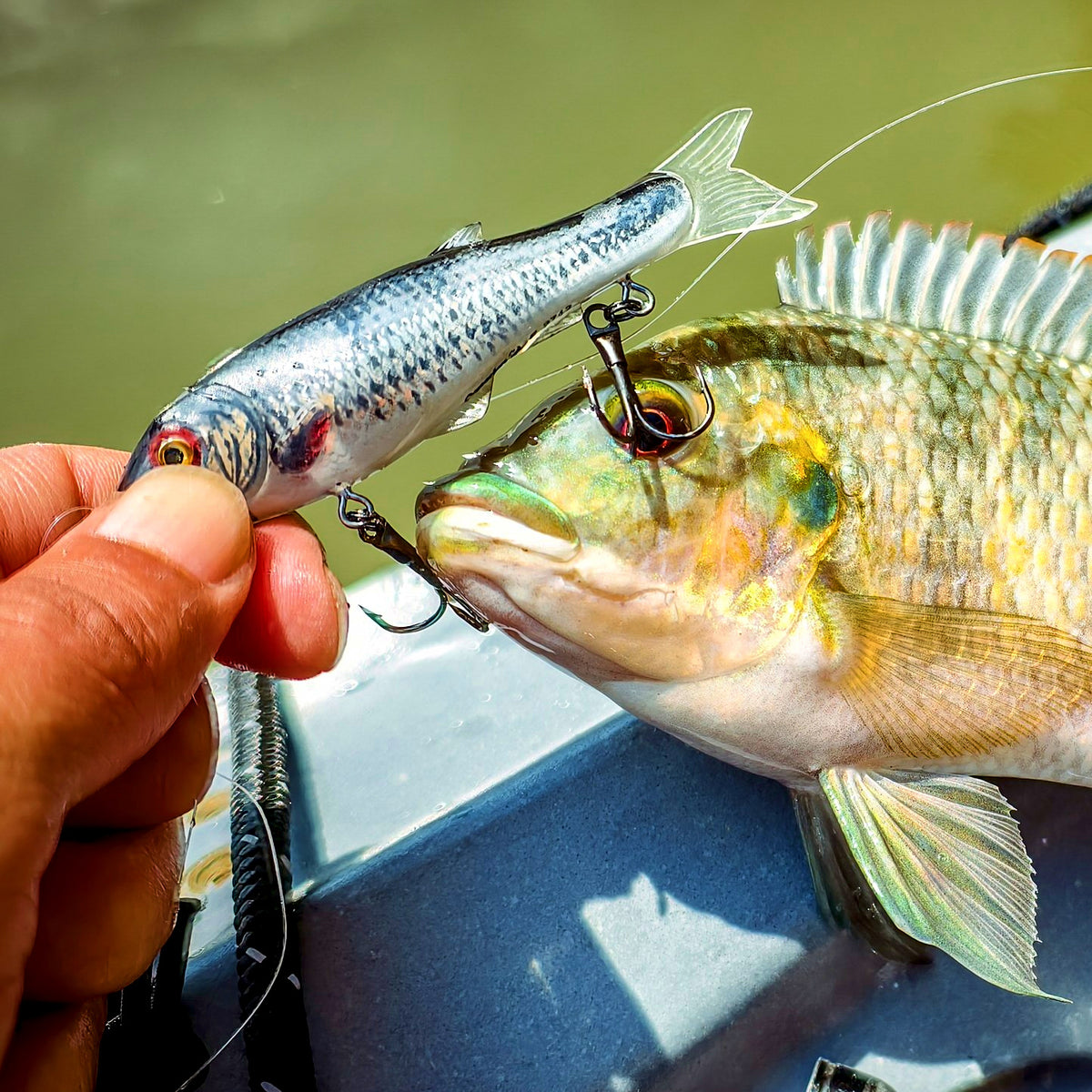 8 cm Soft-Body Minnow Lure, 8.8 g (0.31 oz) – product photo