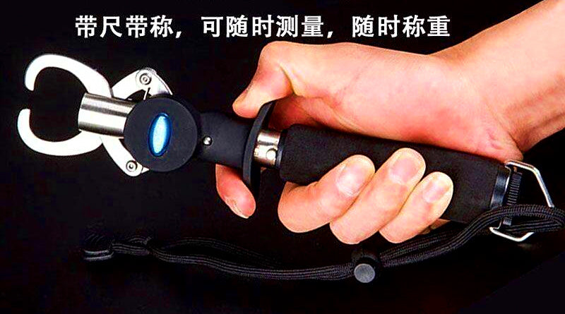 Stainless Steel Fish Gripper Lip Grip, Scale & Ruler Options – product photo