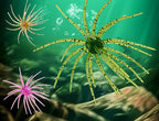 Floating Sea Urchin Soft Bait, TPE, 6.5–10.5 cm (2.6–4.1 in) – product photo