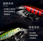 Slow Sinking Minnow Lure, 6 cm (2.4 in), 4.5 g (0.16 oz) – product photo