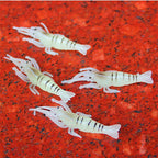 4 cm Soft Shrimp Lure with Hook, Glow & Striped (1.6 in) – product photo