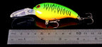 Long Cast Hard Lure, 10 cm (3.9 in), 14 g (0.5 oz) – product photo
