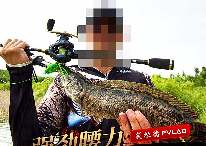 Carbon 2-Piece Spinning & Casting Rod, M/MH Dual Tips, 1.8–2.7 m – product photo
