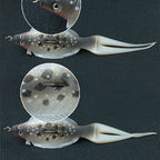 Flatfish Soft Swimbait Lure, 13 cm 8 g, 2-Pack – product photo