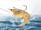 Spring Live Shrimp Hook, Pre-Tied Rig, Sizes 2–12 & 1/0–6/0 – product photo