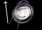 Coated Stainless Steel Wire Leader, 5–200 lb, 10 m Spool – product photo