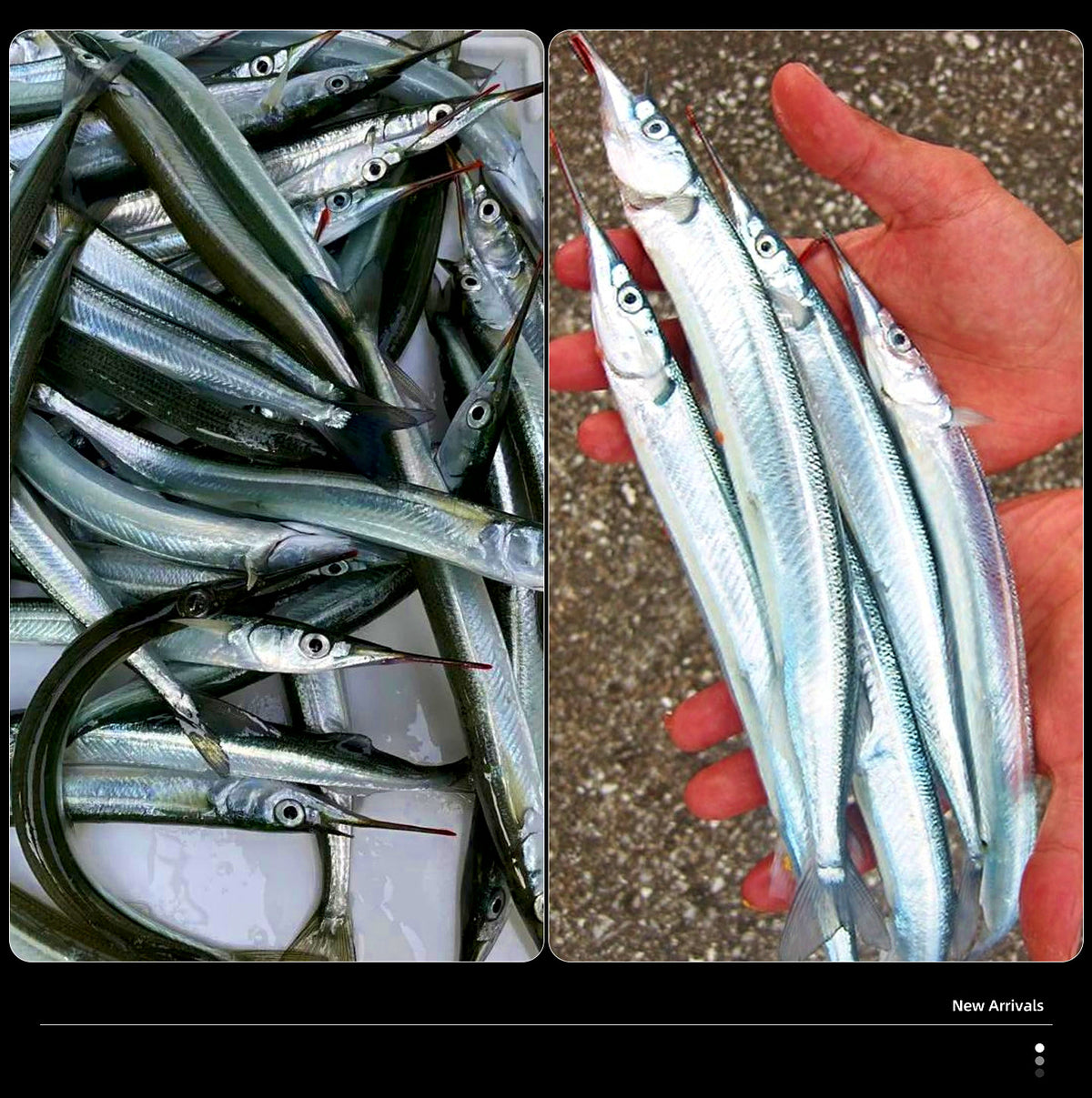 Pre-Tied Hook Leader Rigs, Size 9/10/12, 5-Set Pack – product photo