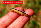 Loach Soft Bait T-Tail Swimbait, 4.1–8.8 cm (1.6–3.5 in) – product photo