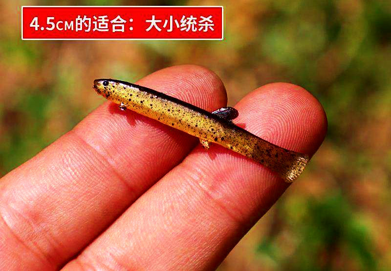 Loach Soft Bait T-Tail Swimbait, 4.1–8.8 cm (1.6–3.5 in) – product photo