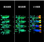 Glow Wooden Shrimp Squid Jig, 6 cm & 8 cm (2.4–3.1 in) – product photo
