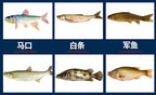 Micro Lures: VIB, Minnow, Chubby Jig, Spoon & Jig Head Kits – product photo