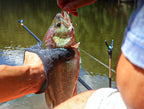 Fish Gripping Glove, Non-Slip, Puncture-Resistant, One Size – product photo