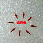 Barbed Nymph Fly Hooks, Bloodworm & Ant Patterns, Size 8–20 – product photo