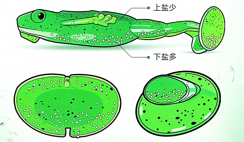 Soft Popper Frog Lure, 5.8–8.4 cm (2.3–3.3 in) – product photo