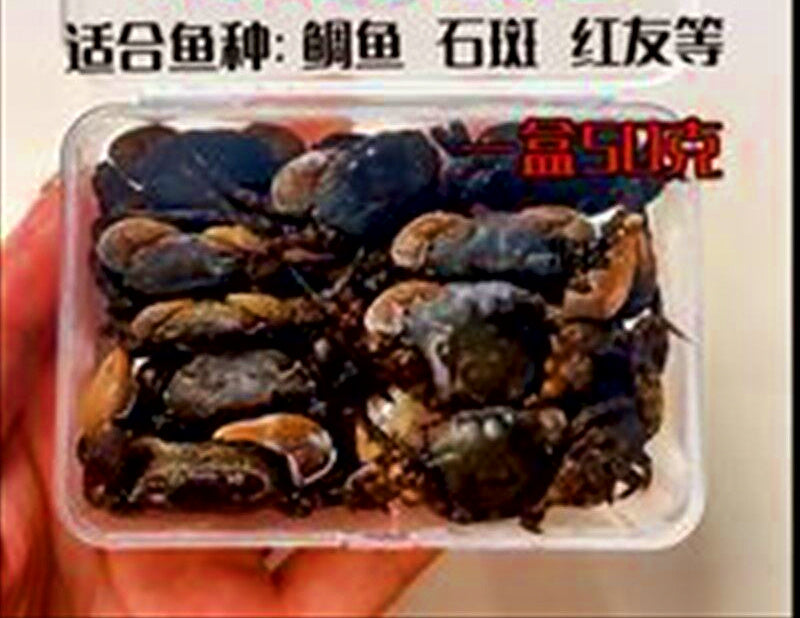Crab Fishing Bait for Saltwater, 50 g or 100 g (1.8 or 3.5 oz) – product photo