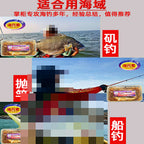 Glycerin-Cured Whole Sardine Fish Bait, 150 g & 250 g Boxes – product photo