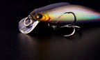 Sinking Minnow Lure, 5–14 g (0.18–0.5 oz), 5 Colors – product photo