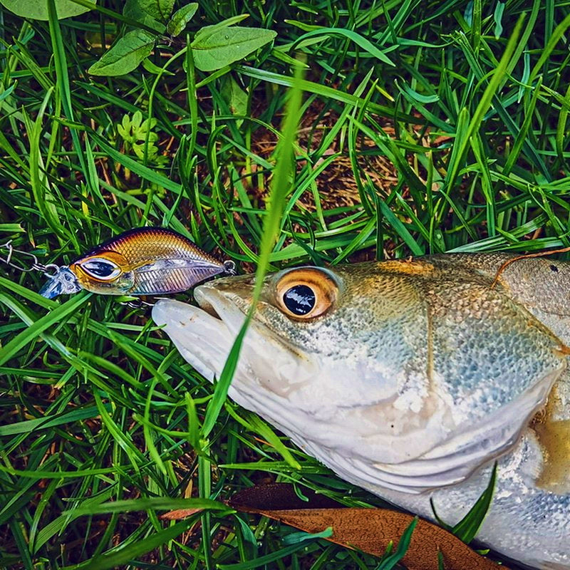 Micro Slow Sinking Minnow Lure, 30 mm (1.2 in) 3 g (0.11 oz) – product photo