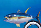 Carbon Leader Line, Bite Resistant, No. 1–20, 50/100 m – product photo