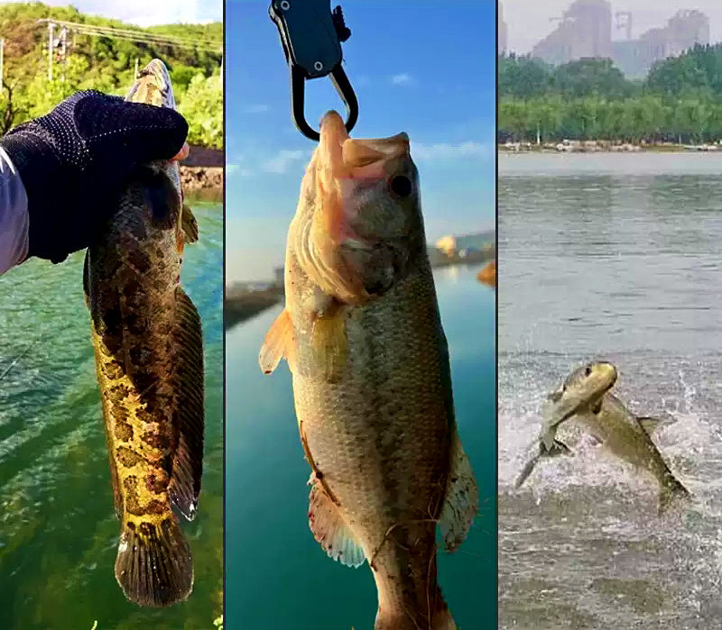 Kick-Leg Soft Frog Lure 5-Pack, 5 g (0.18 oz) & 10 g (0.35 oz) – product photo