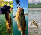 Kick-Leg Soft Frog Lure 5-Pack, 5 g (0.18 oz) & 10 g (0.35 oz) – product photo