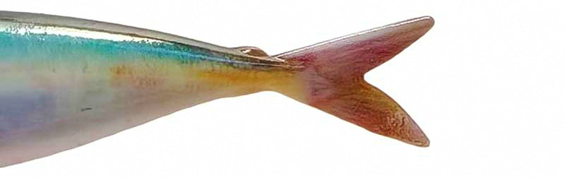 3D Printed Mackerel Soft Swimbait, 15 cm, 33.5 g (1.2 oz) – product photo