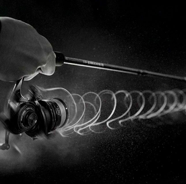 Front Drag Spinning Reel, 5.2:1, 6 Bearings, Sizes 800–3000