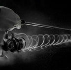 Front Drag Spinning Reel, 5.2:1, 6 Bearings, Sizes 800–3000