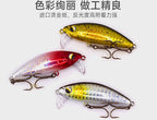 Slow-Sinking Minnow Hard Bait, 2.7–19 g (0.10–0.67 oz) – product photo