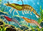 Glow Shrimp Soft Bait, Lead-Filled, 8–9 cm (3.1–3.5 in) – product photo