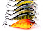 Long Cast Fishing Lure, 7.6 cm (3 in), 12.7 g (0.45 oz) – product photo