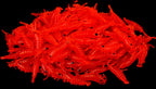 Shrimp Soft Bait Lure, Glow and Color Options – product photo
