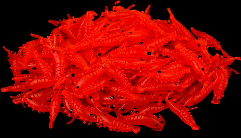 Shrimp Soft Bait Lure, Glow and Color Options – product photo